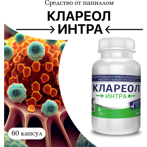 ���� �������� �� ��������� � ��������, 1 ��, 60 ������, ������ �� 579 ���