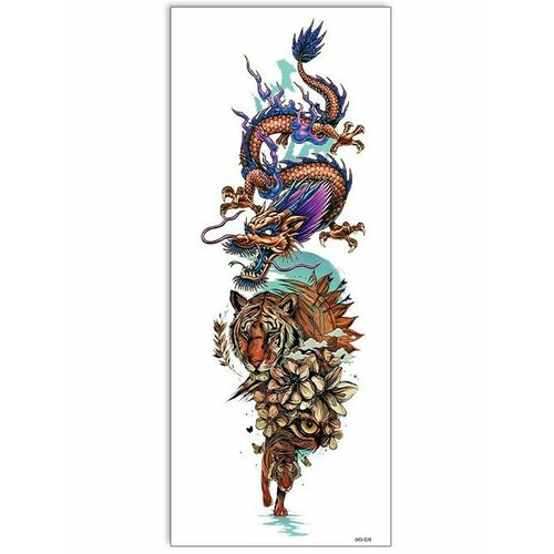 ���� ���������� ��������� ���� ����� �� �������� / 43 � 15 �� ����, ������ �� 560 ���