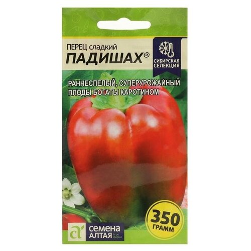 ���� ������ ����� ������� 