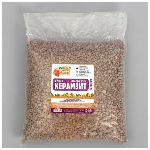 ���� ������ �������� 