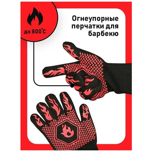     2  BBQGURU ( ),   1001 