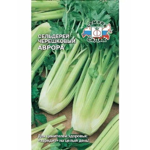 ���� ��������� ���������� 