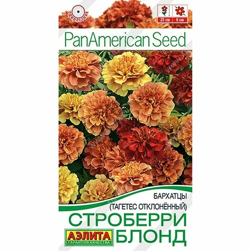 ���� ������ �������� ��������� ����� ����������, (������) 5�� PanAmerican, ������ �� 70 ���