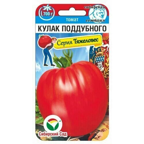 ���� ������ ����� ����� ���������� 20�� ����� (��������� ���), ������ �� 61 ���