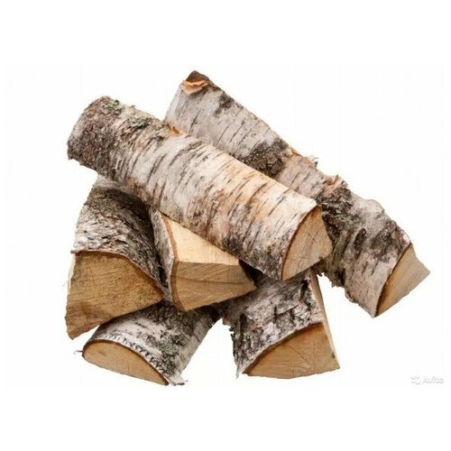 ���� ����� ��������� ��������, � �����, 12-14 ��, �������� �����, ������� �������� ��� �����, �����, ����������� ����� � �������������� ����������, ��� ���������� ���� �� �������� ����, ������ �� 1990 ���