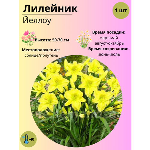 ���� �������� ������, ����������� ����� / ������ 1 ��, ������ �� 380 ���