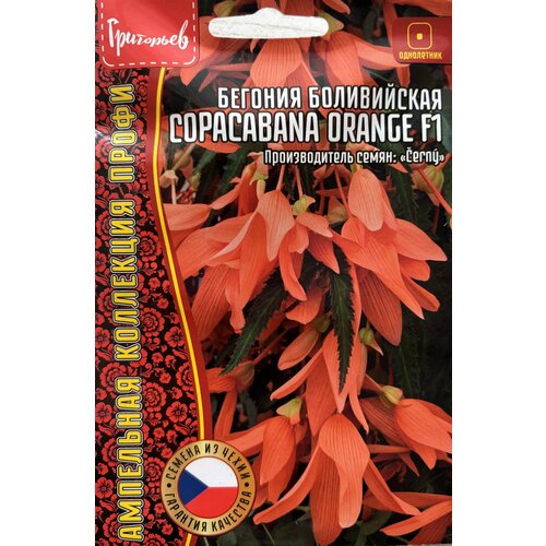 ���� ������ ������� ����������� 