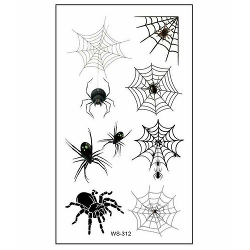 ���� ���������� ���� ��������� ����� ��������, ������ �� 245 ���