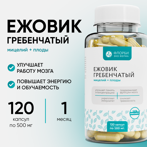 ���� ������ (������) ����������� �������, 120 ������ �� 500 ��, ������ �� 990 ���