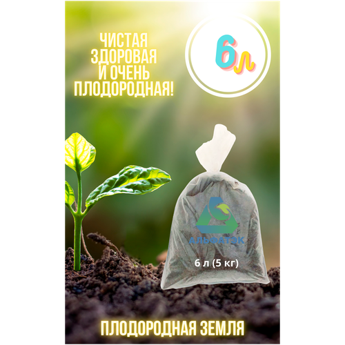 ���� ����������� �����, Alfatek, 6 � (5 ��), ������ �� 599 ���