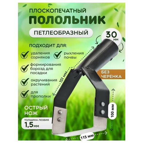 ���� �������, ��������� ��� �������, ������ �� 200 ���