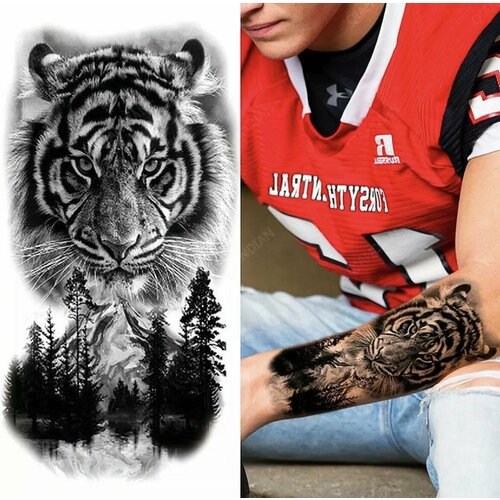 ���� ���� ���������� ��������� ��� ������ � ������, ������ �� 330 ���