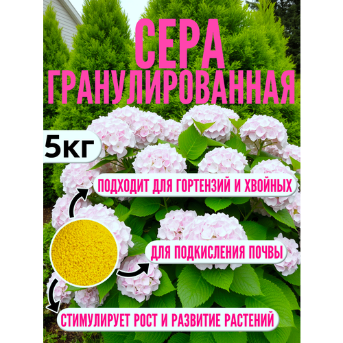 ���� ��������� ������ 