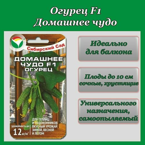 ���� ������ �������� ���� (1 �������� -7�� �����), ������ �� 191 ���