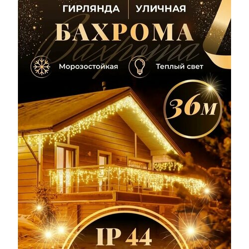 ���� �������� ������� 