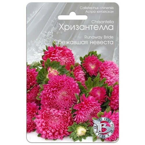 ���� ������ ����� ��������� ����������� 