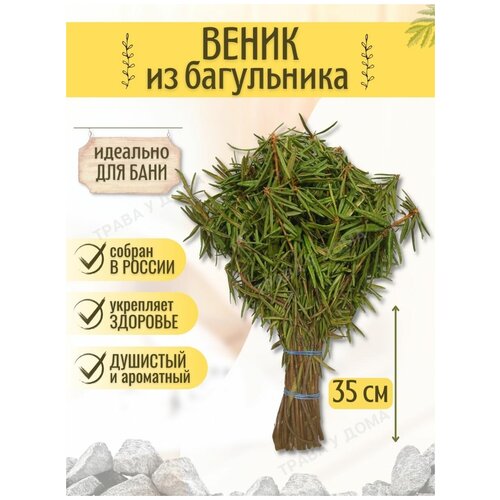 ���� ������ ��� ���� �� ���������� 1 �����, ������ �� 390 ���