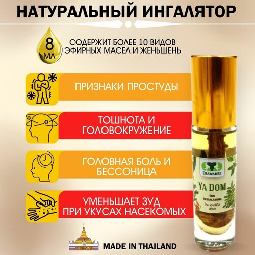 ���� ������ �������� �� ������� ����� ����������� ��������� Ya Dom, ������ �� 900 ���