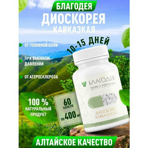 ���� ��������� � �������� (60 ������), ������ �� 1500 ���