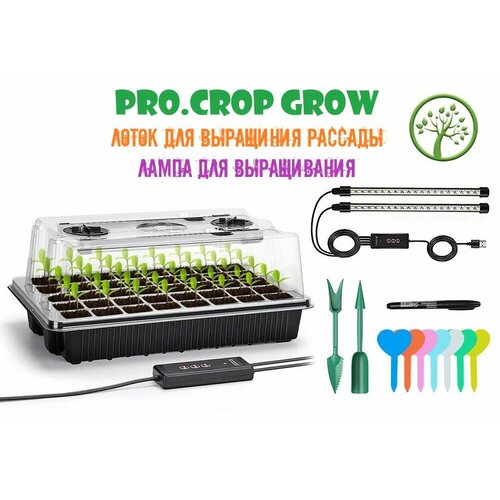 ���� ���� ������ / ������� ��� ������� / ������ ���� ����������� / ����� ��� ������� ��� ����������� �� ����������, ������ �� 3999 ���