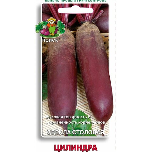 ���� ������ ������ �������� 3� �������������� (�����), ������ �� 44 ���