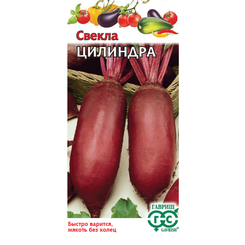 ���� ������ ������ �������� 3� �������������� (������), ������ �� 168 ���