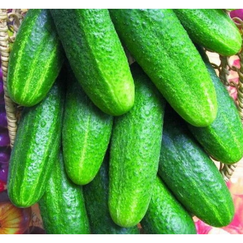    F1 0,3  (. . ),   30 