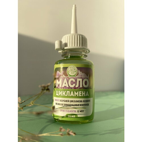 ���� ����� ��������� (�����) ��� ���������, �� ��������, 20 �� - 