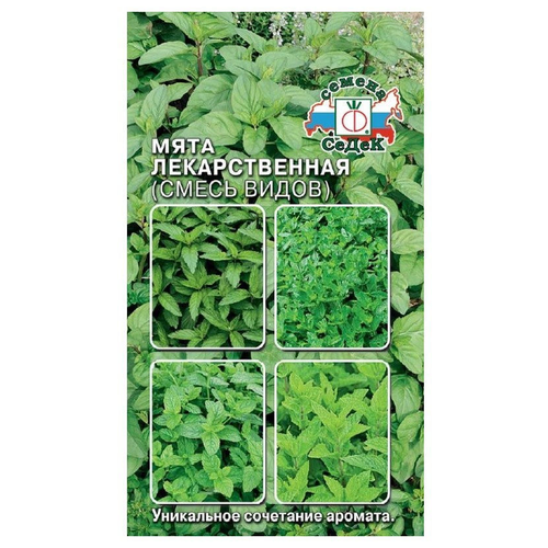 ���� ������ ����� ���� ������������� ����� ������, ������ �� 60 ���