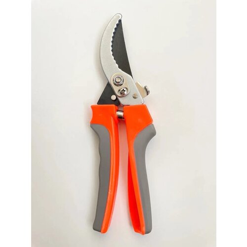 ���� ������� ������� ����������������, ������� ���� �� 25 ��, ��������, �������� ��� �������� � ������, ������ �� 399 ���