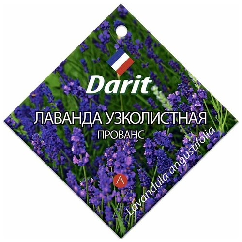 ���� ������ ������ ������� ����������� 