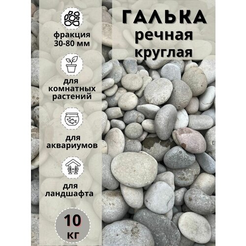 ���� ������ ������ ������� 30-80 �� (10��) ��� ���� � ������� � ������������ �������, ������ �� 1131 ���