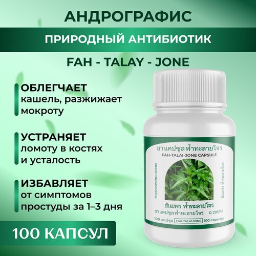 ���� ����������� ������ �������� �� ����� ���� (fah talai jone), 1 ��, 100 ������, ������ �� 510 ���