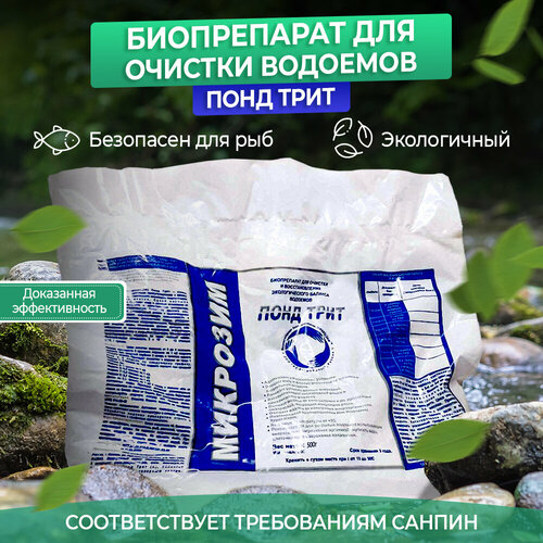 ���� �������� ������ �������� ���� � ����� �������� ���� ���� 13000 �, ������ �� 43900 ���