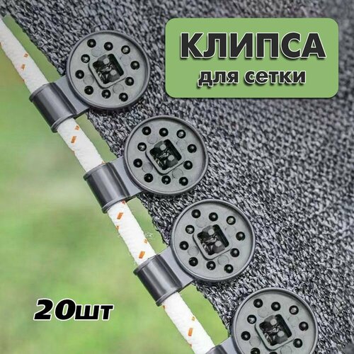 ���� ������ ��� ��������� ����� �������, ������. 20��., ������ �� 319 ���