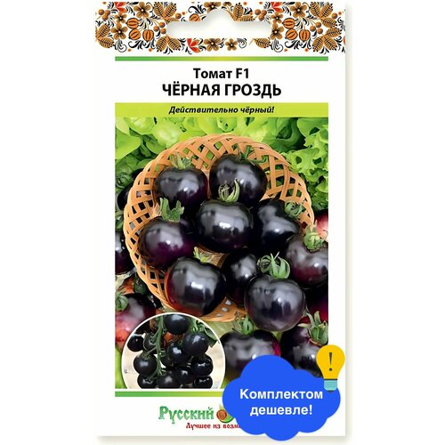 ���� ������ ������ ������� ������ 