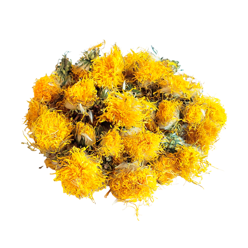 ���� ������ ���������� ��������������, ������ �� 450 ���