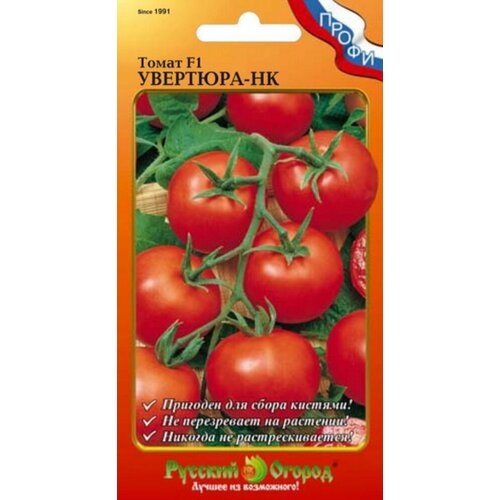 ���� ������ ����� �������� F1 15�� ����� ������ (������� ������), ������ �� 83 ���