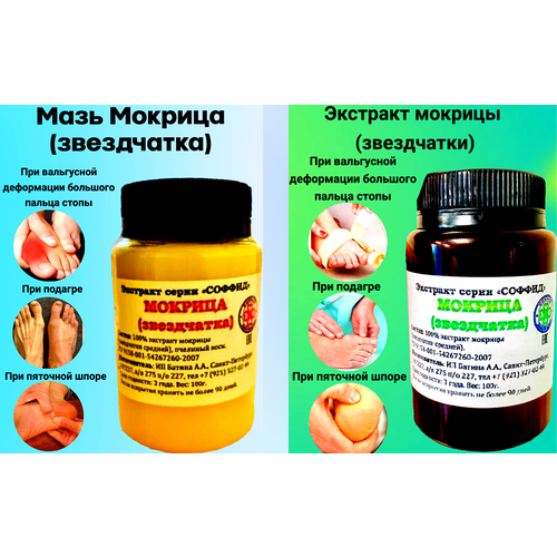 ���� �������� �� ������� 2 � 1, �������� ����� � ���������� ����������, ������, ���� �������, �������� ������� (����������), ������ �� 1399 ���