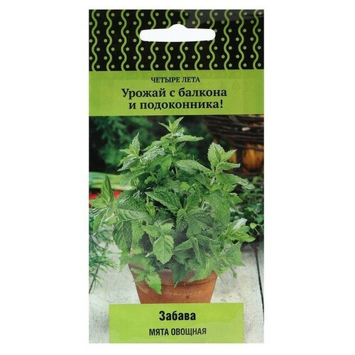 ���� ������ ���� ������� 