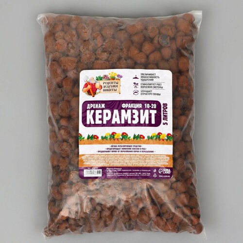 ���� ������ �������� 