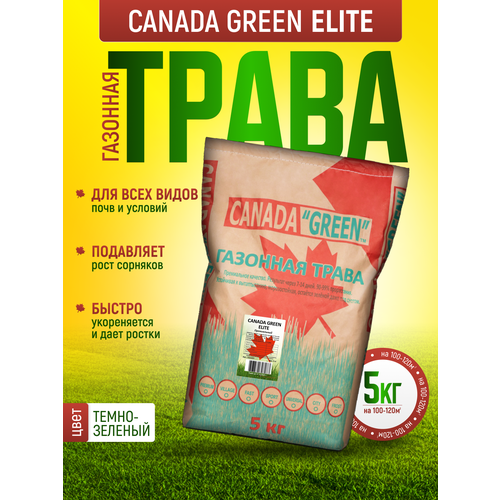        5  /    5 /   , , ,   2602 