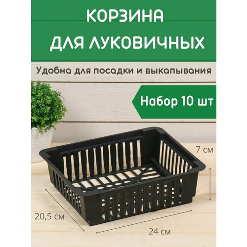 ���� ������� ��� ���������� ������������� ����� 10 ��, ������ �� 712 ���