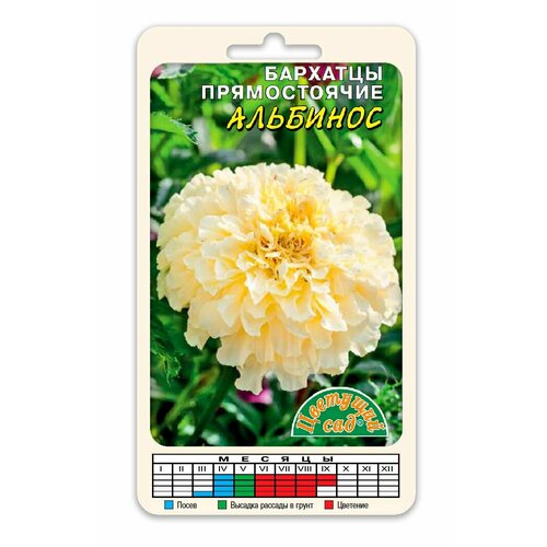 ���� �������� (�������) �������� ������� �������� (������ �������� ���, 0,03 � ����� � ��������), ������ �� 60 ���