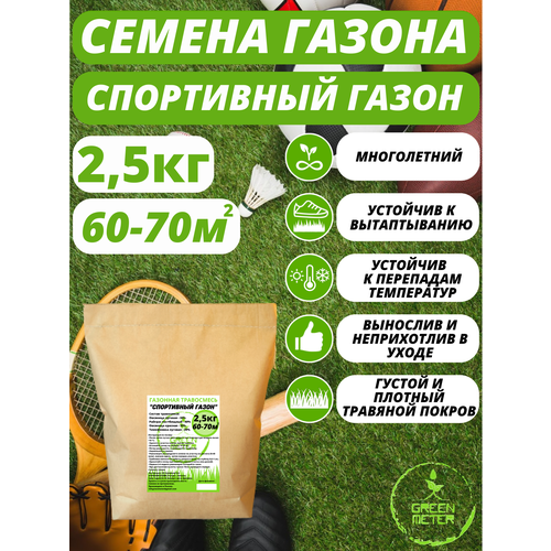 ���� �������� �����, ������ �������� ����� 2,5 ��, ������ �� 1240 ���