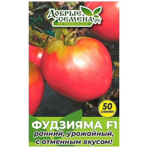     F1 - 50  -  . ,   610 