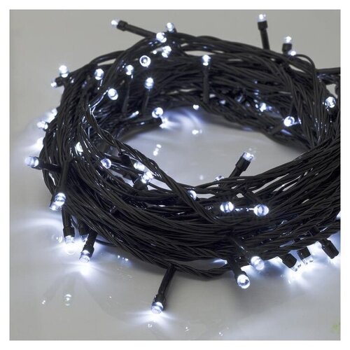 ���� �������� Luazon Lighting ���� 3556788, 1 ��. � ������, 10 �, 100 ����, �����/������ ������, ������ �� 619 ���