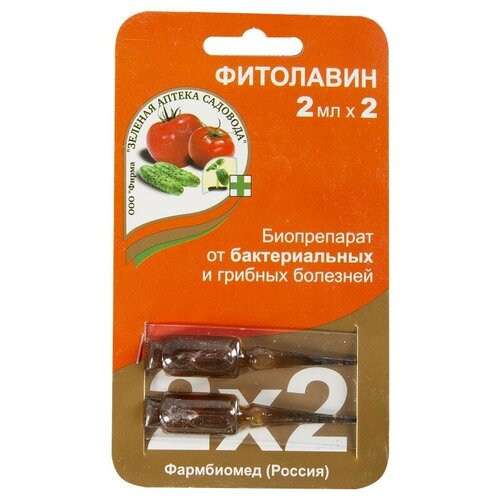 ���� ������� ������ �������� ����������� �� ������������� � ������� �������� ���������, 2 ��. � 2 �� � 10 �, ������ �� 84 ���