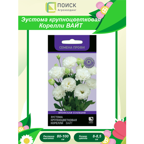 ���� ������� ��������������� (���������) ������� ����, ������ �� 260 ���