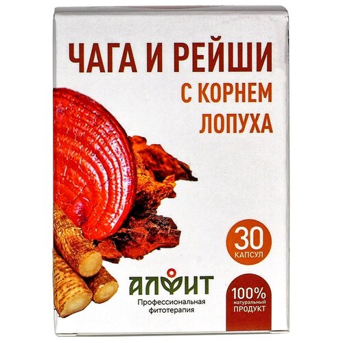 ���� ���������� ����� ���� � ����� � ������ ������ ����., 12 �, 30 ��., ������ �� 1086 ���